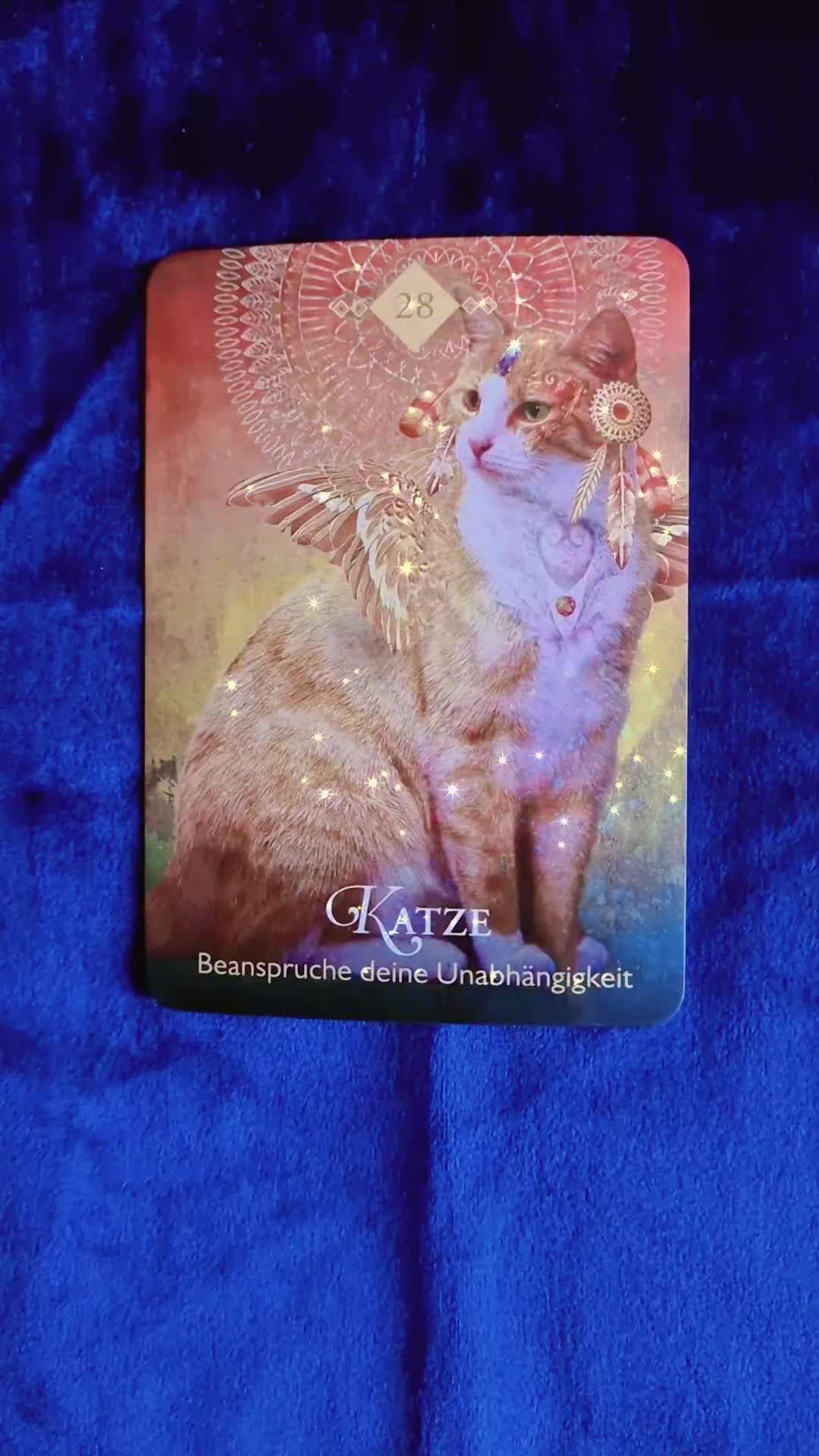 @Tarot Botschaft
