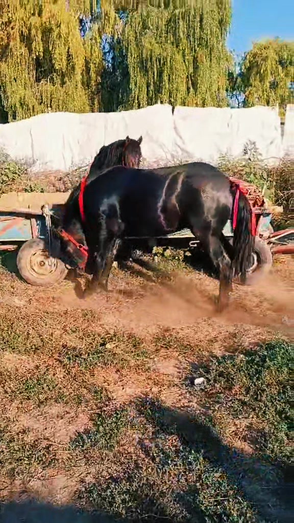 @Cătălin