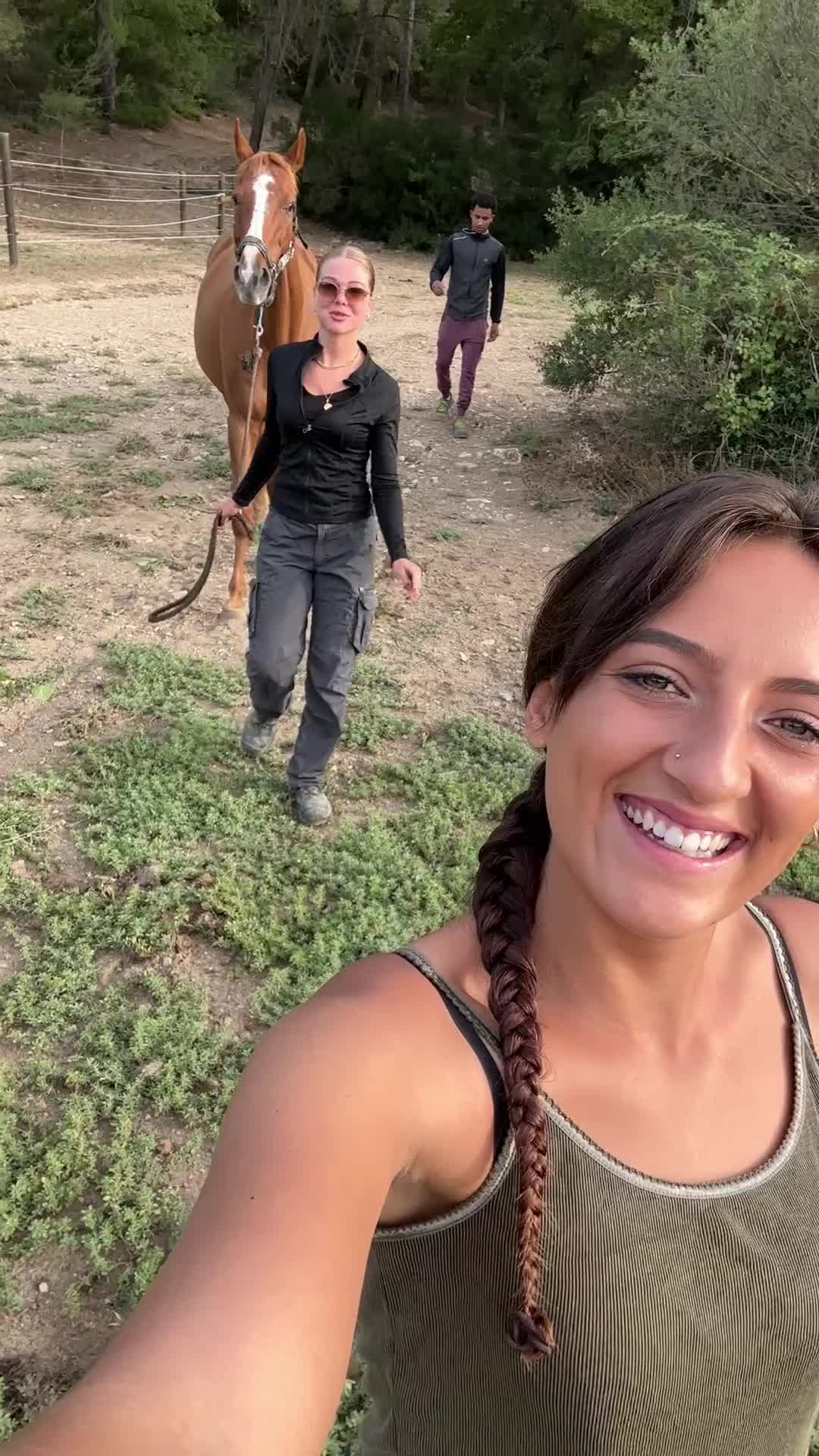@Hannah ostéopathie animale 🐎
