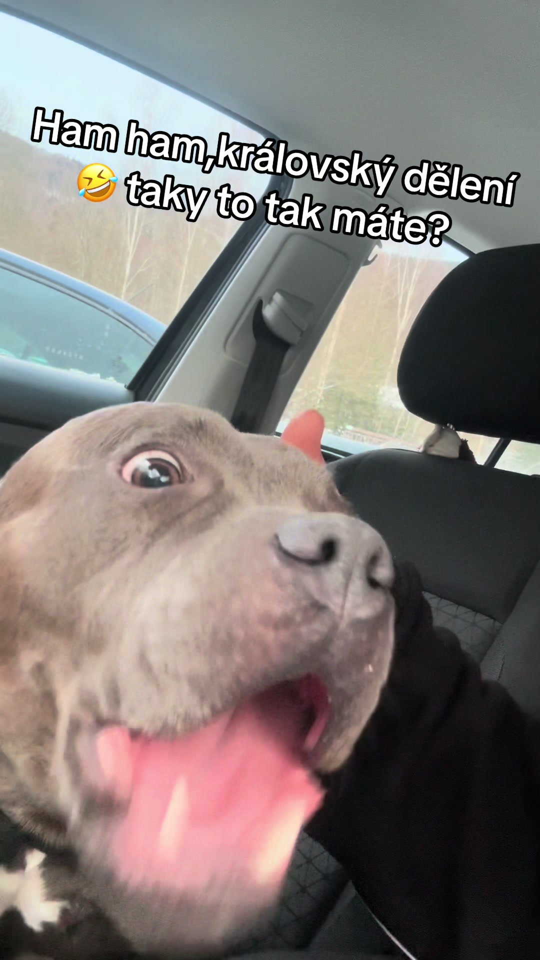 @Beast animal