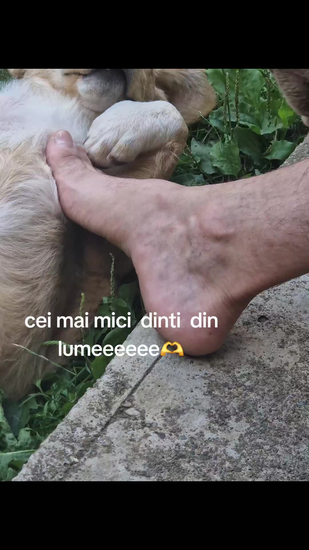 @Gianina