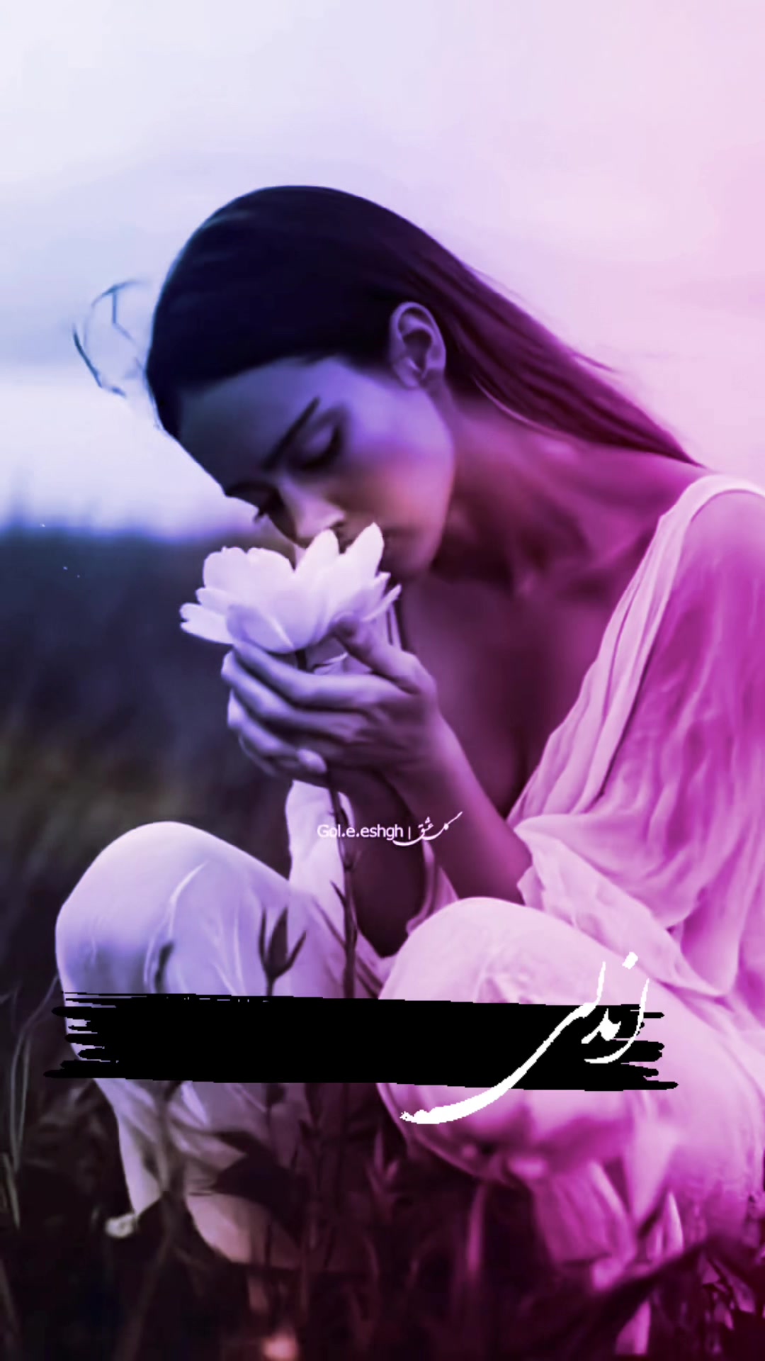@clipart_venus.2025