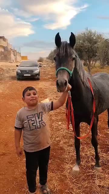 @حميد أبو الشيخ