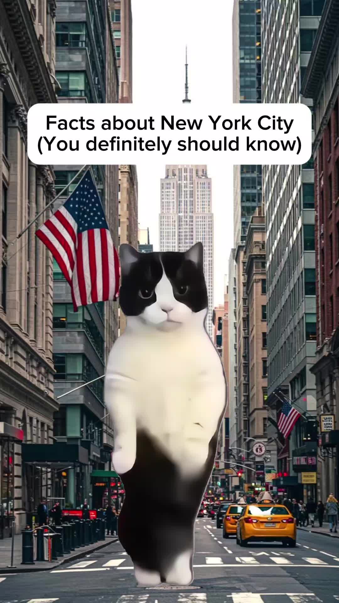@Histonerd