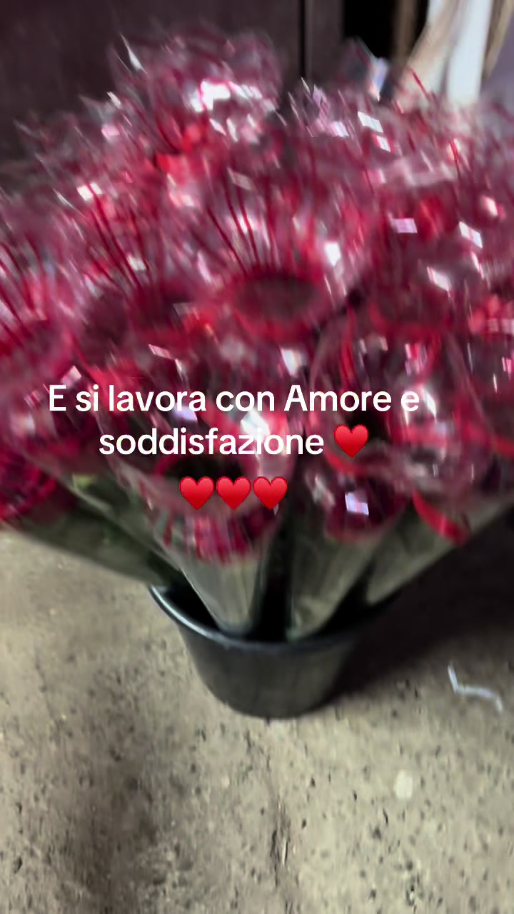 @Rosa Cozzolino
