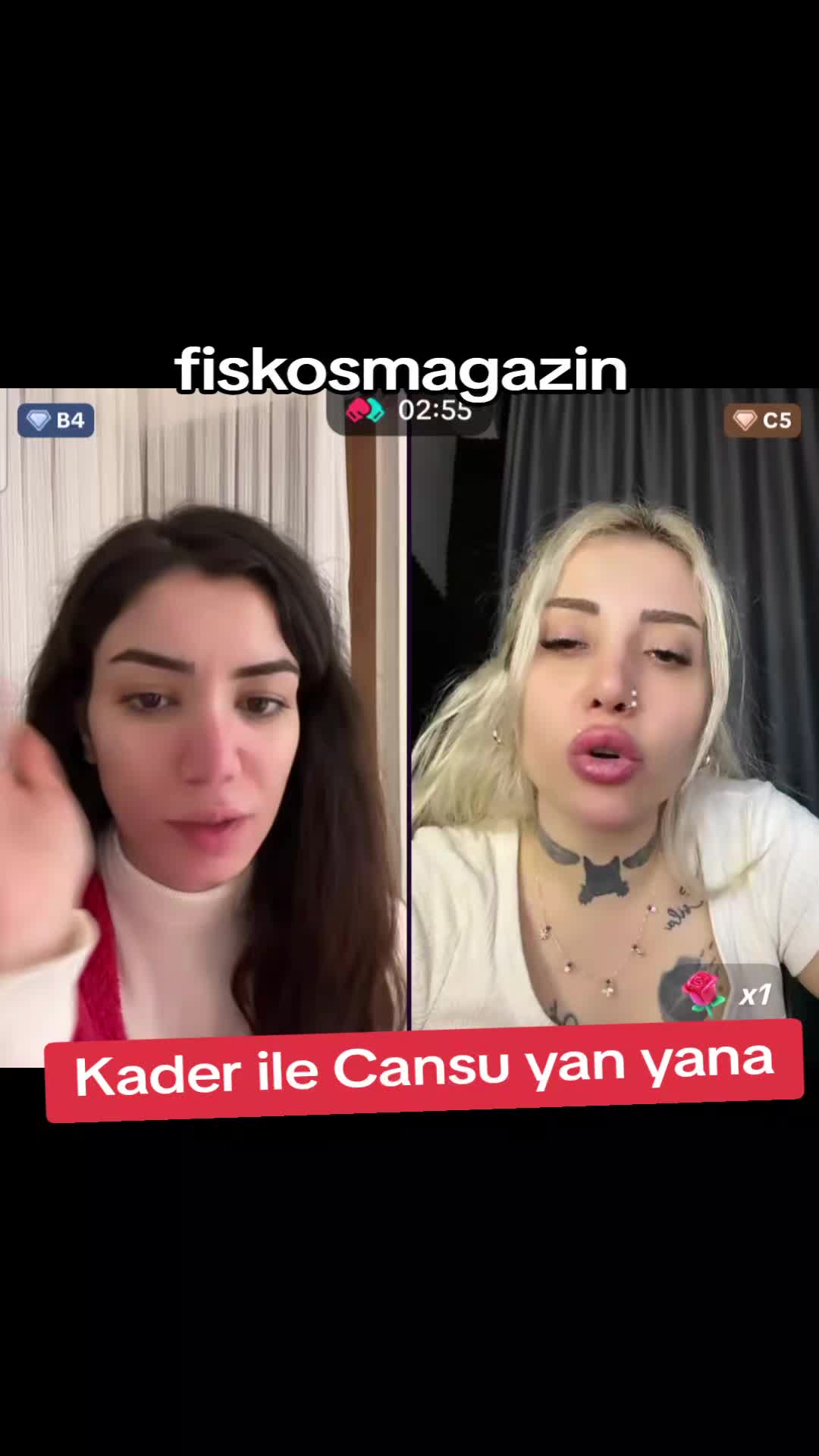 @Fiskosmagazin 🤍