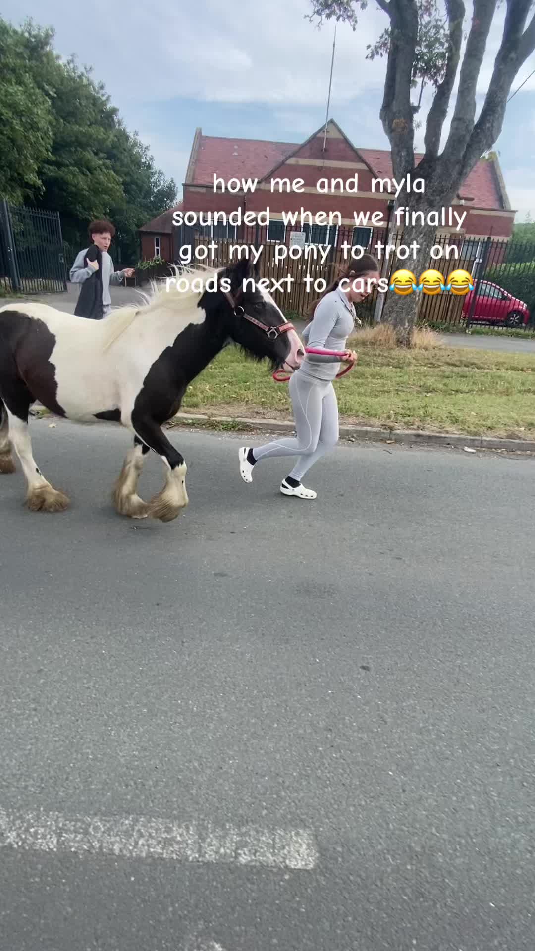 @🪸