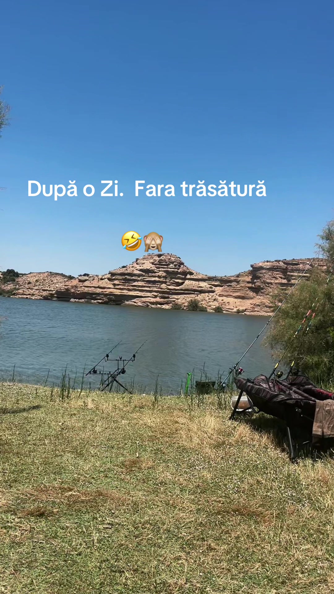 @Royal carp 🐟🐟🤩💪