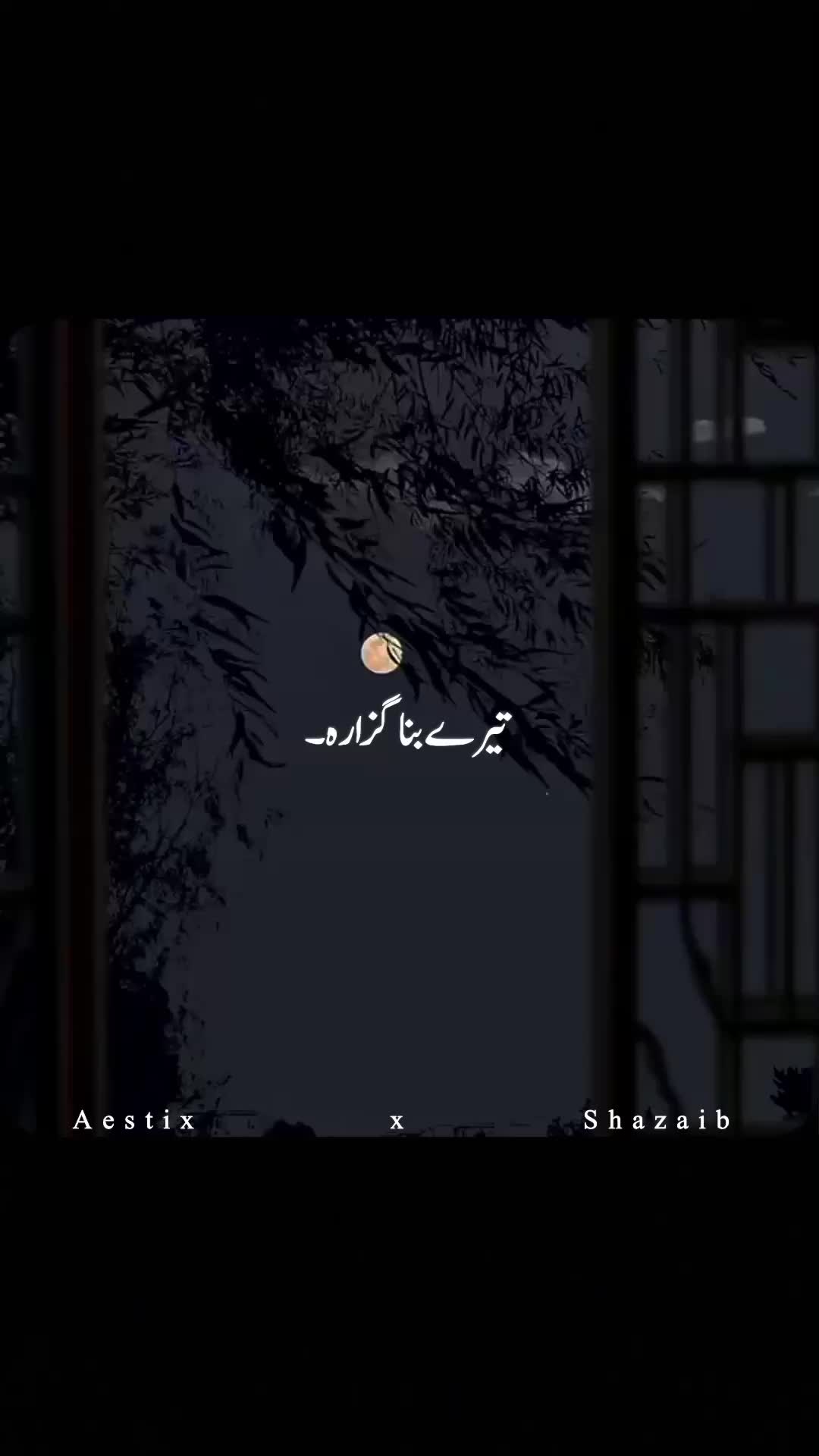 @Aestix x Shazaib