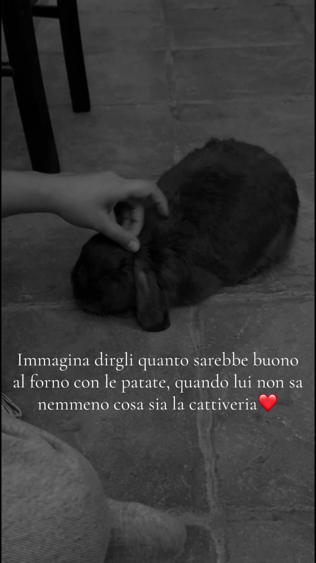 @Peter Rabbit