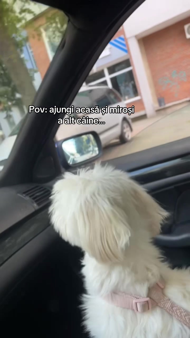 @Lușca Laurențiu