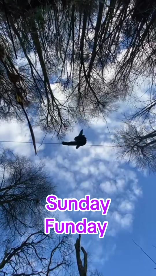 @Weejeewoo