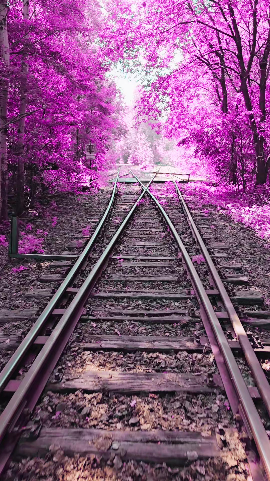 @DasMayoOffiziell