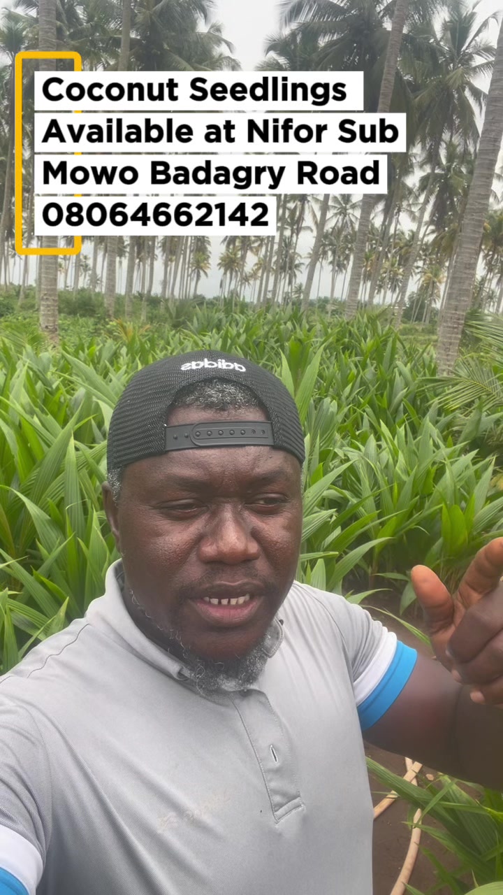 @BabaObaTv @Yuki Agro limited