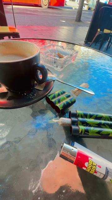 @Ribana😎Sultana