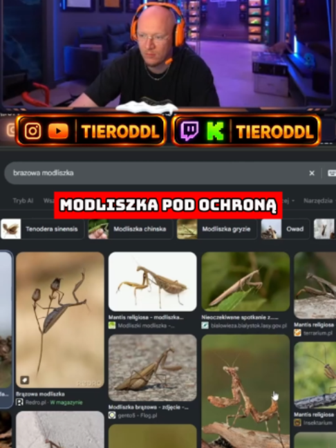 @tieroDDL