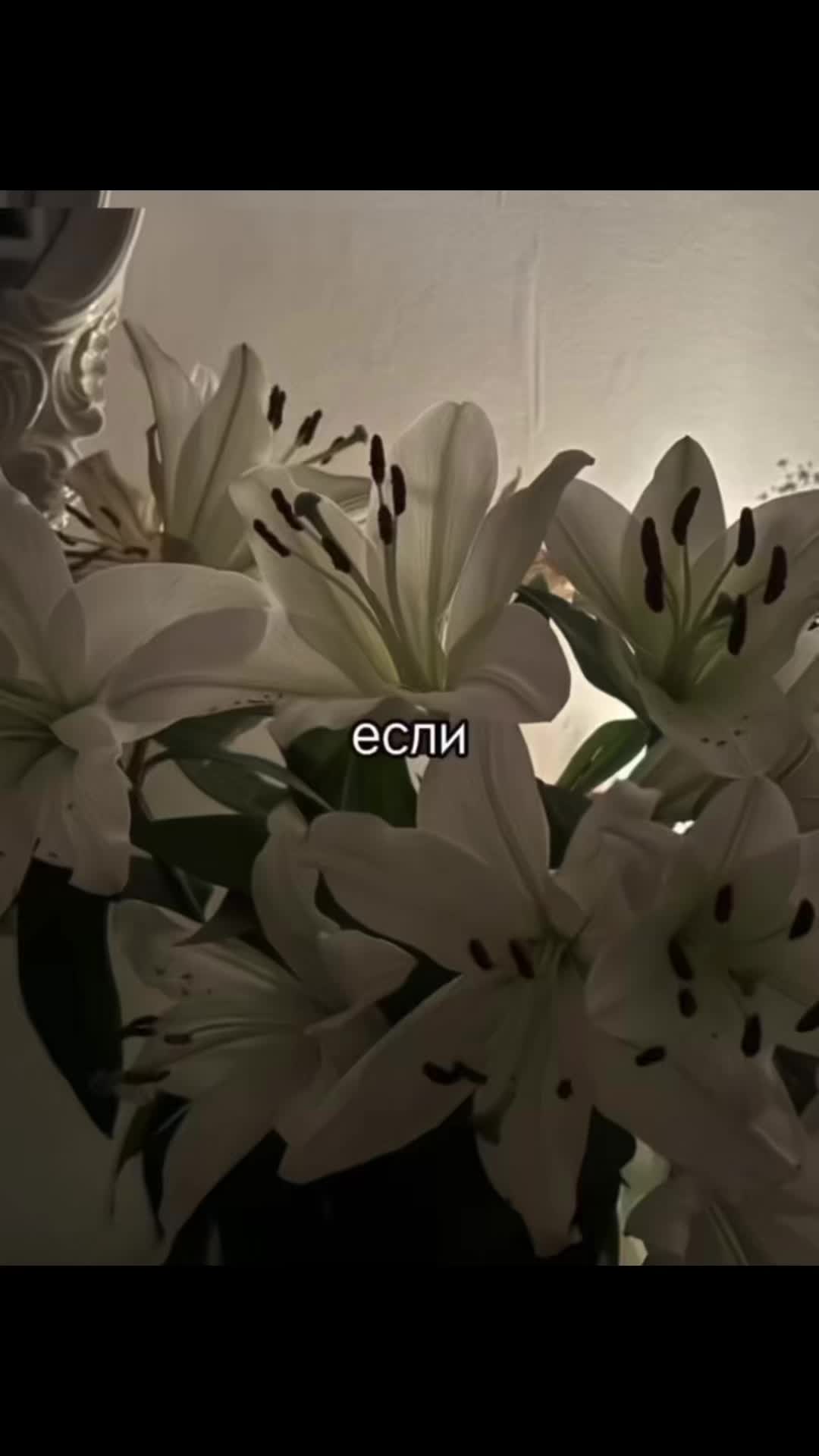 @ᴛᴩᴇᴋи дᴧя ᴧиᴨᴄинᴦоʙ