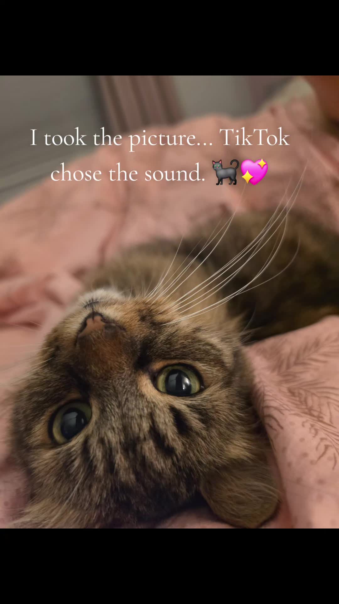 @Rebekah