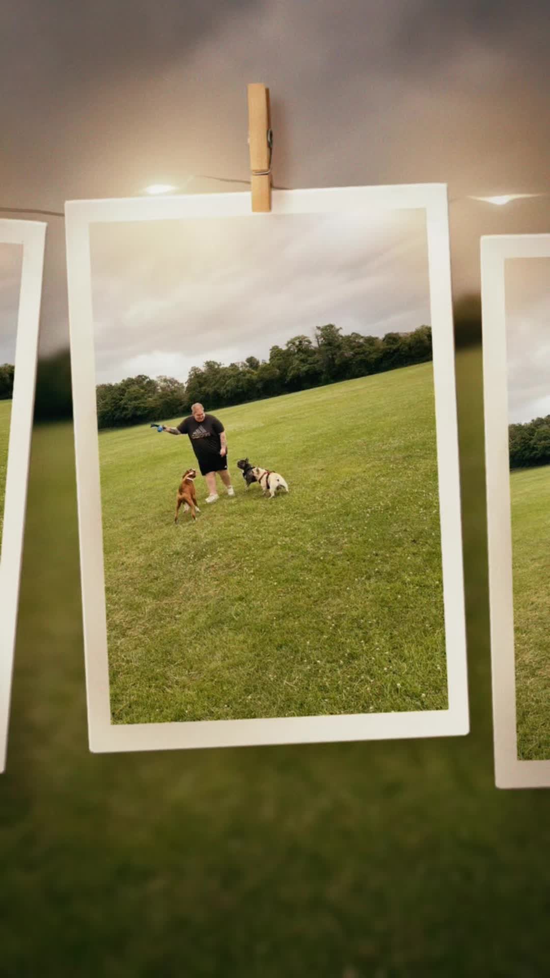 @Tinytalesdaily