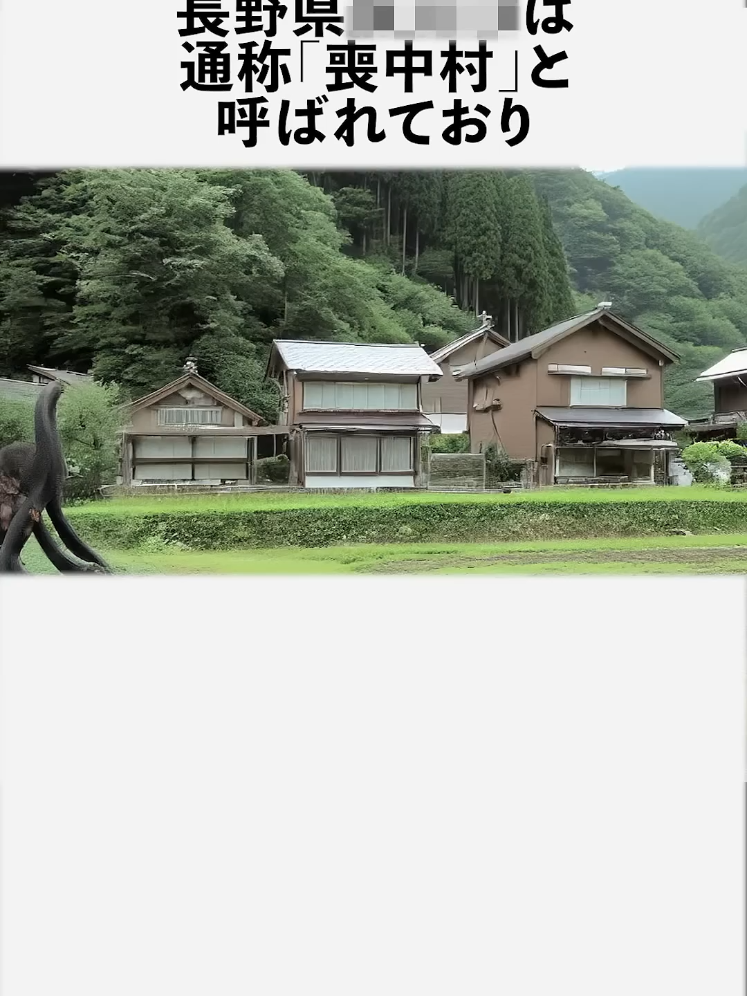 @user6530788422590