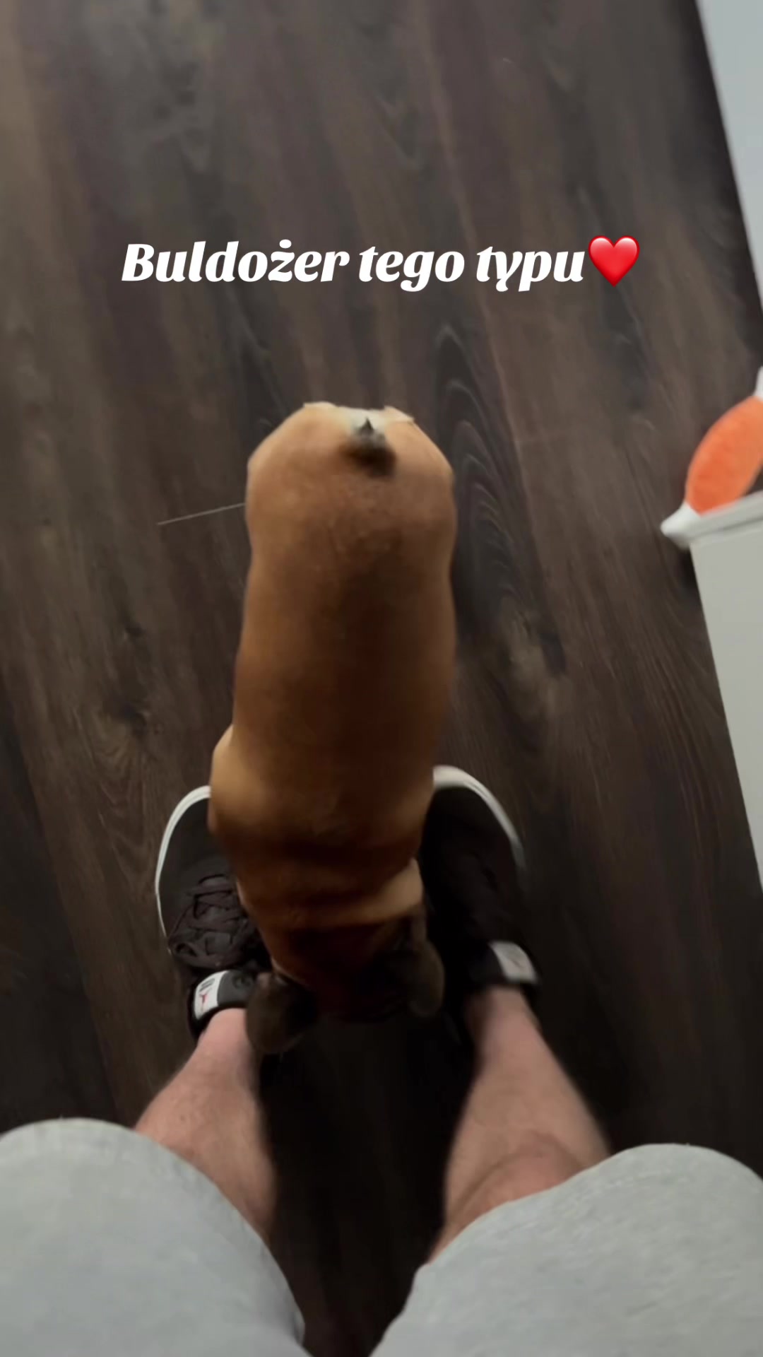 @PiciuPe