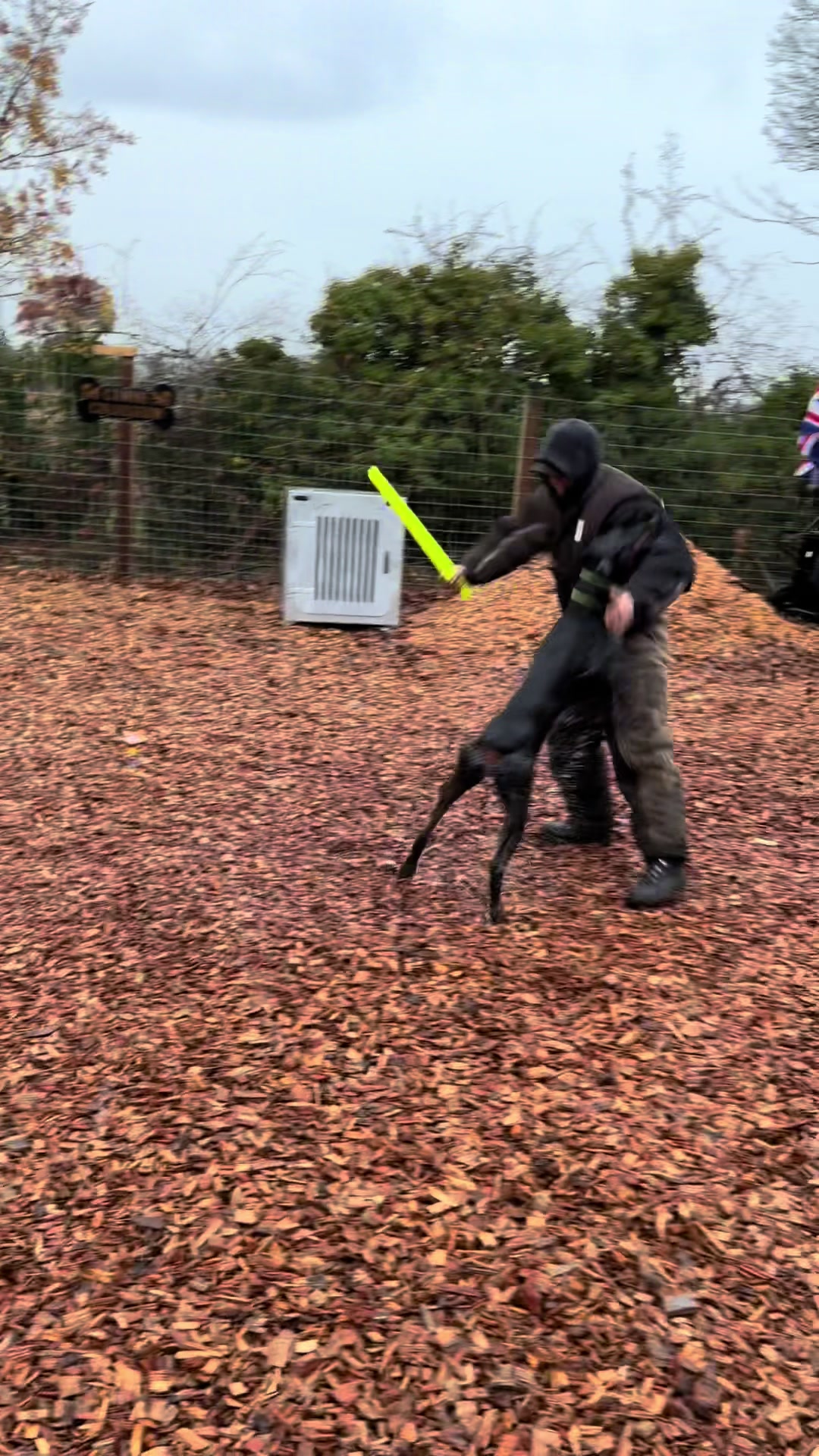 @protectiondobermanns