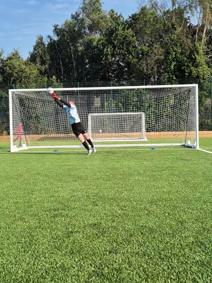 @hodge_gk