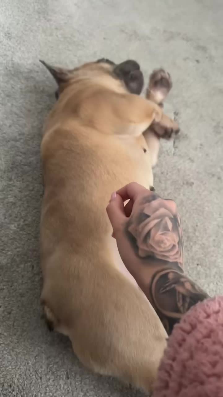 @𝒜𝓃𝓃𝒶 🐆🤎