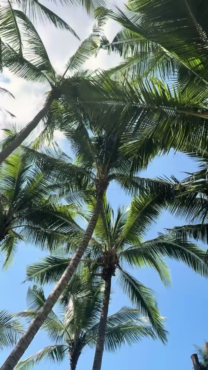 @Mélissa 🍒