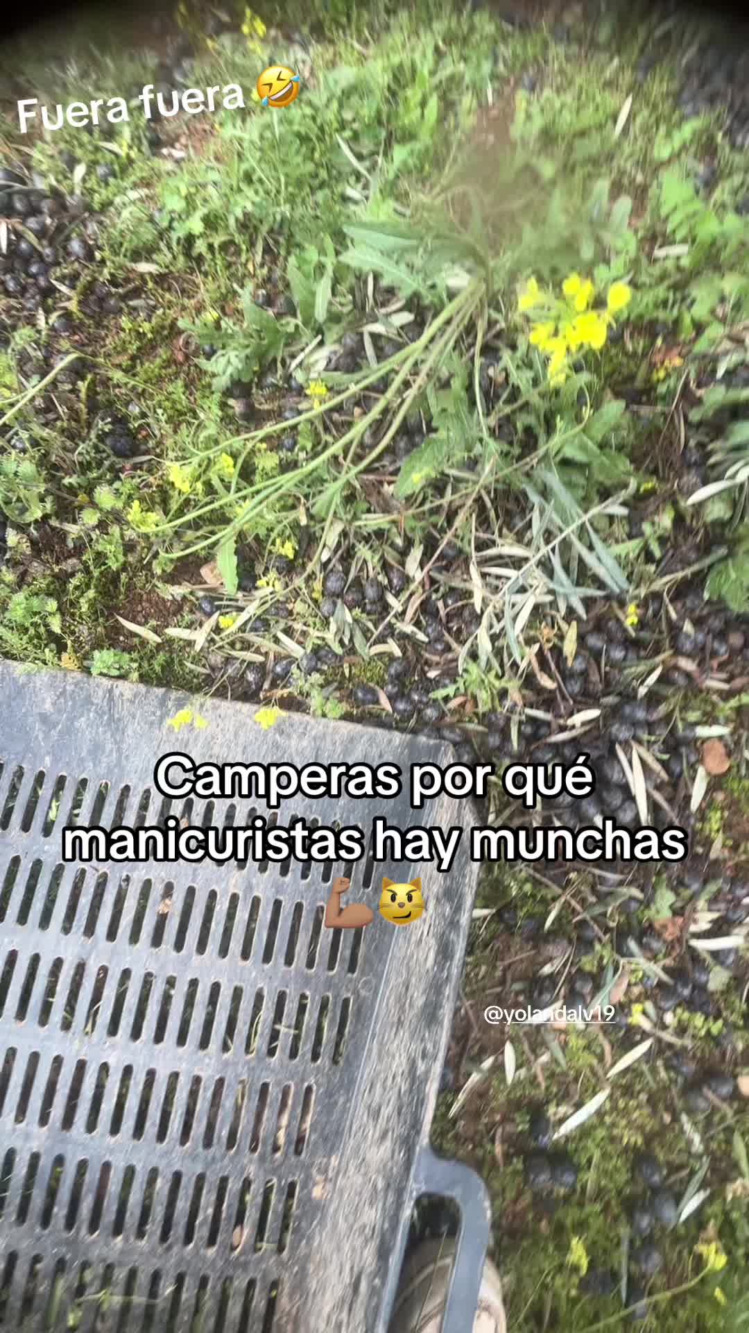 @maria_0538