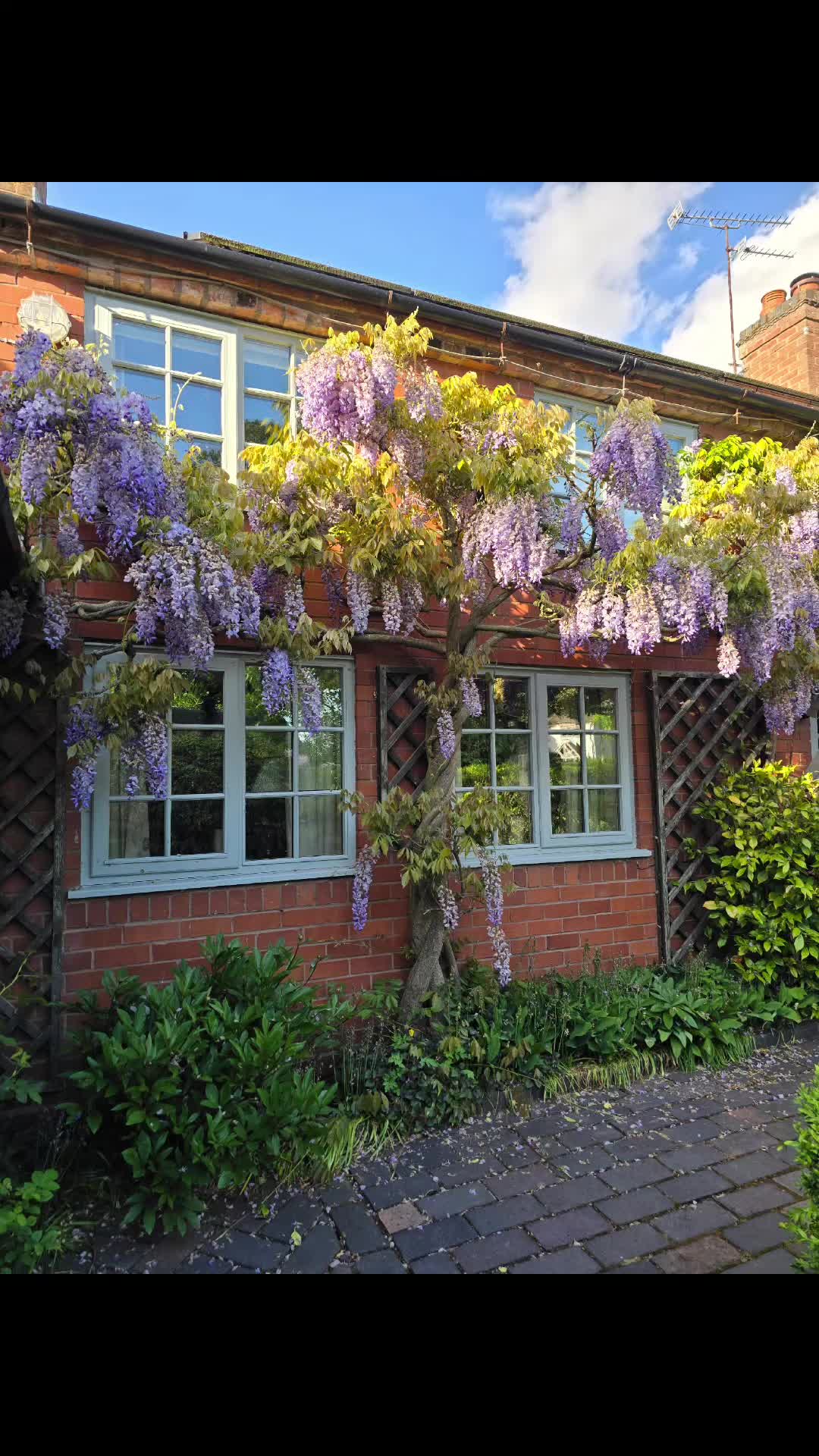 @Julia Roberts