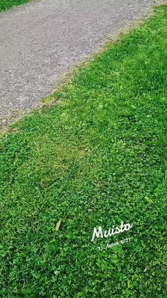 @mattisworld