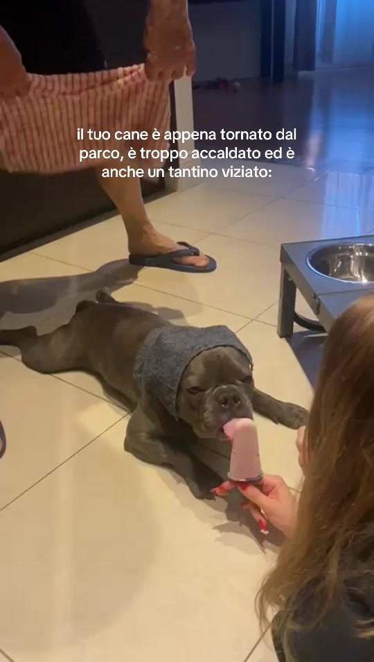 @gaia🐺