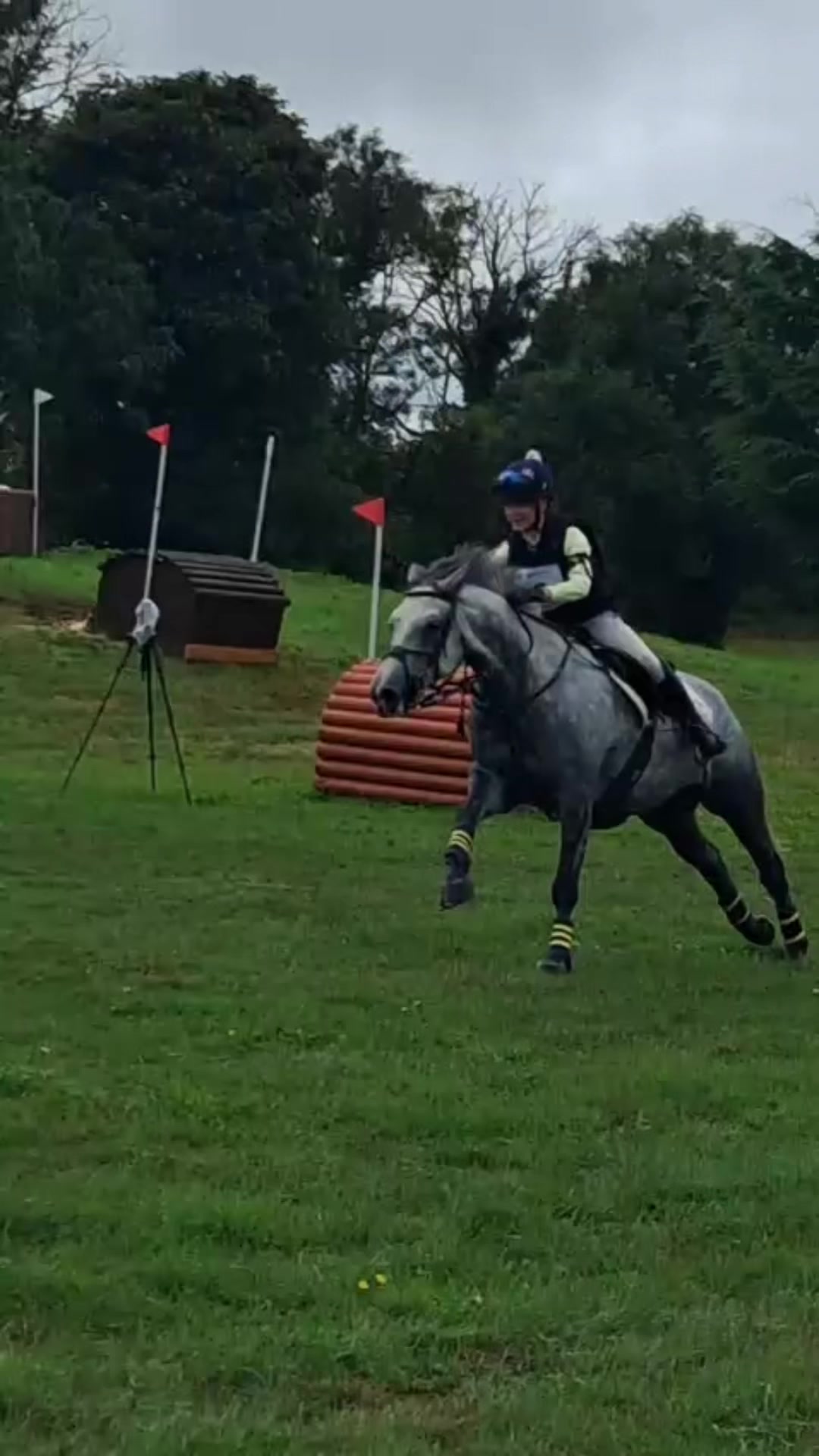@Aoife haines eventing