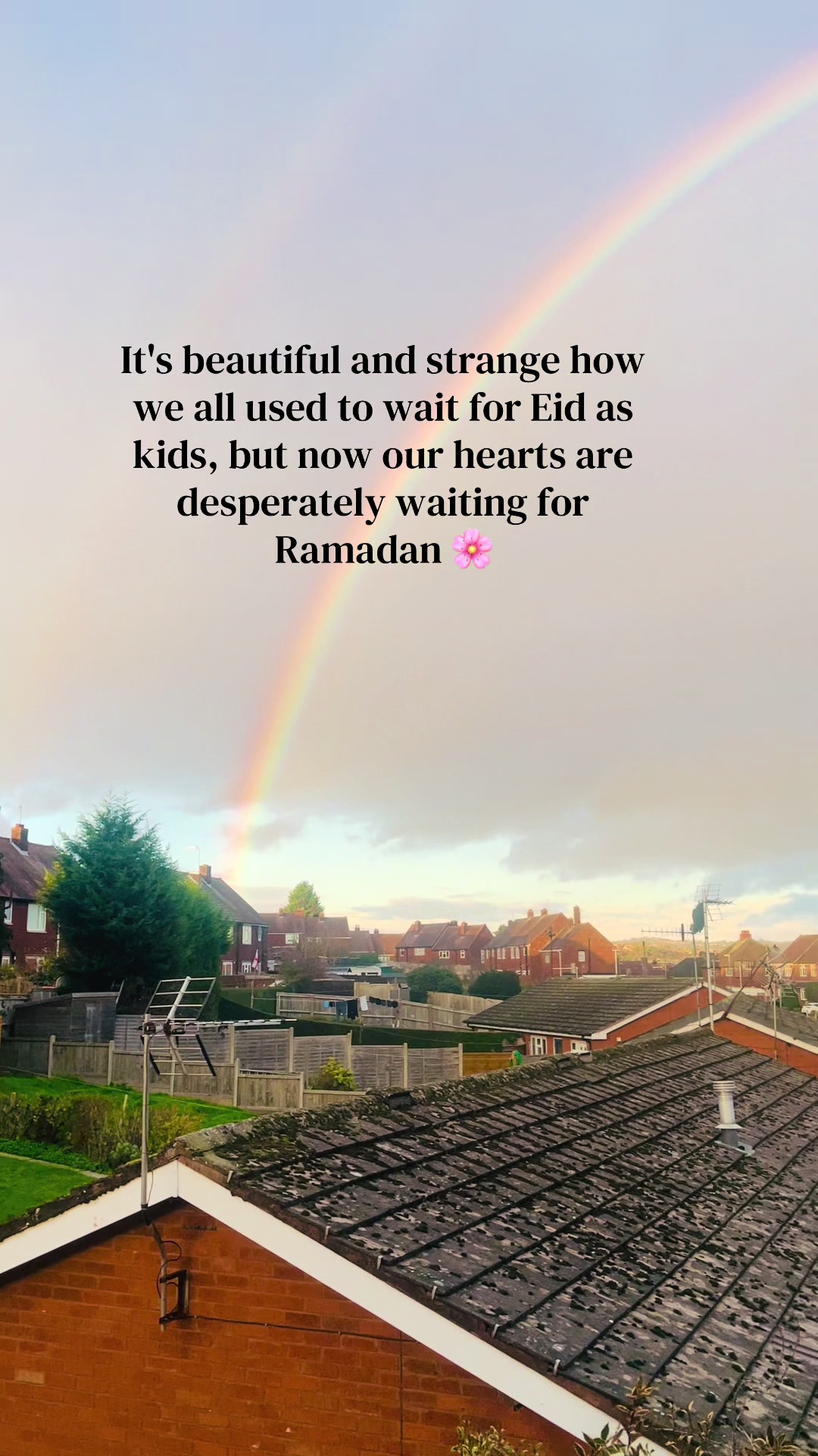 @Areej Iqbal🇵🇰🇬🇧
