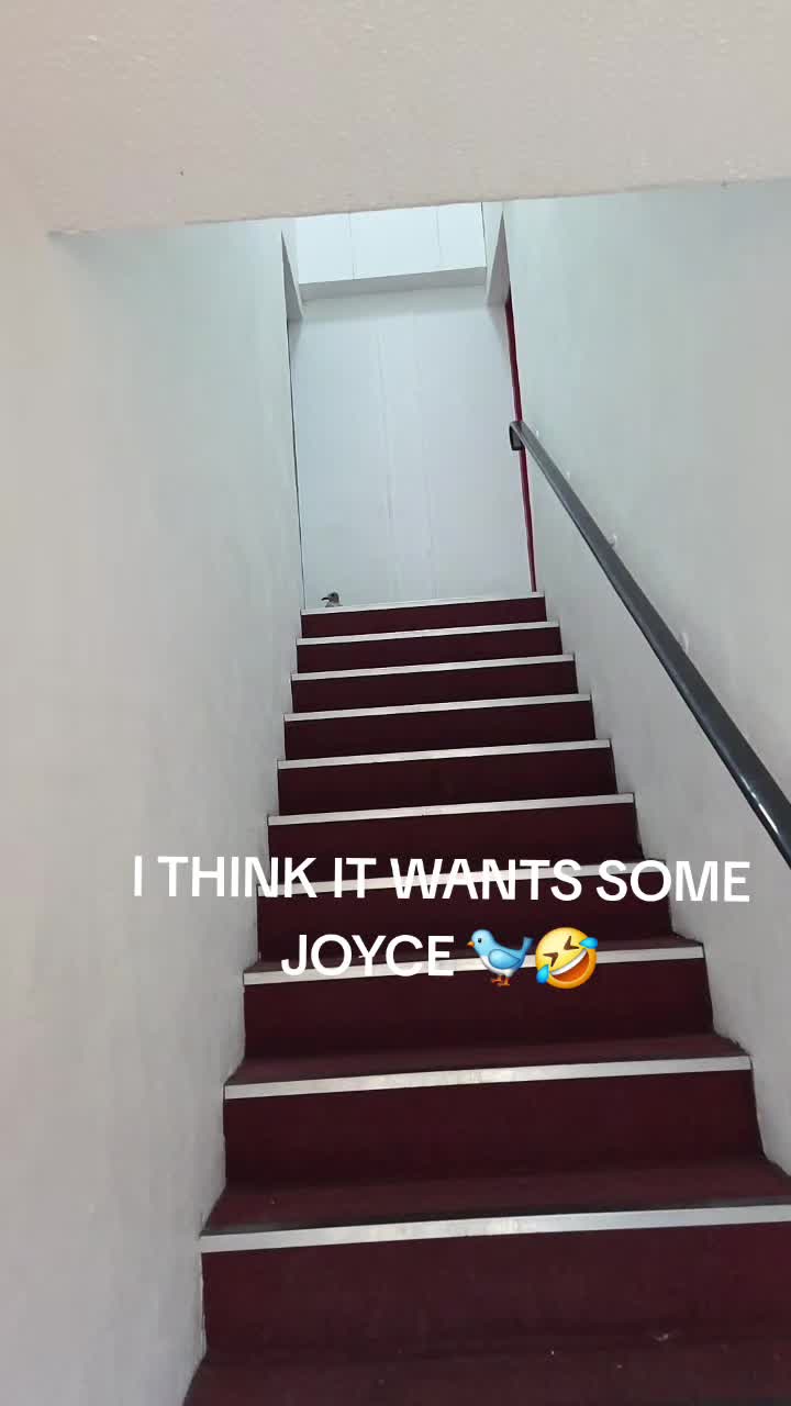 @Joyce