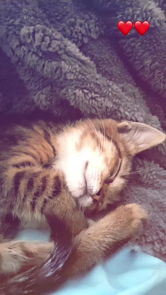 @𝓐𝓷𝓷𝓪