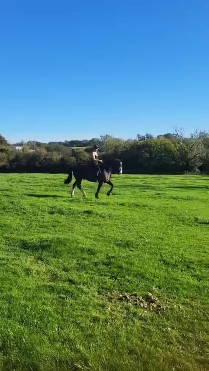 @amelia_showjumping2