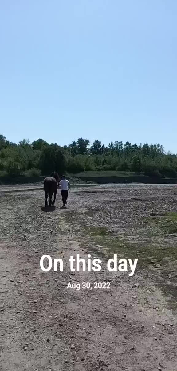 @marian Lungu
