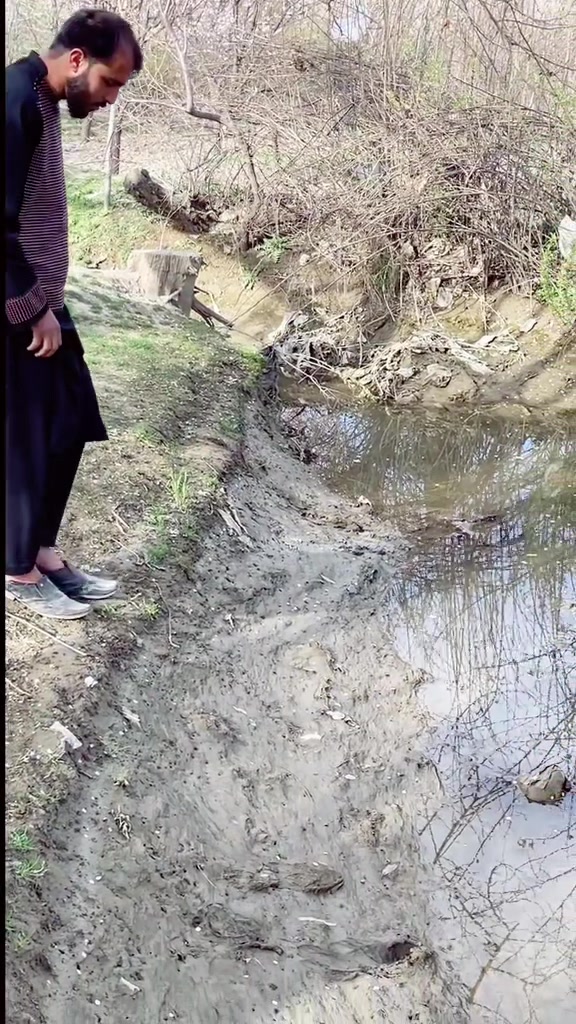 @Najibullah Noori