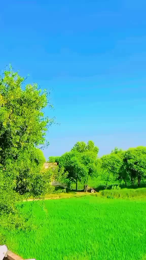 @ˏˋ°•*⁀➷💞💞𝑀 𝑖𝑙𝑦𝑎𝑠❤️🕊.⋆