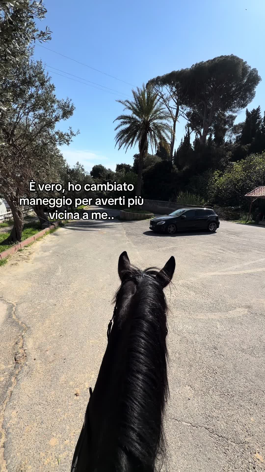 @Rita De Domenico