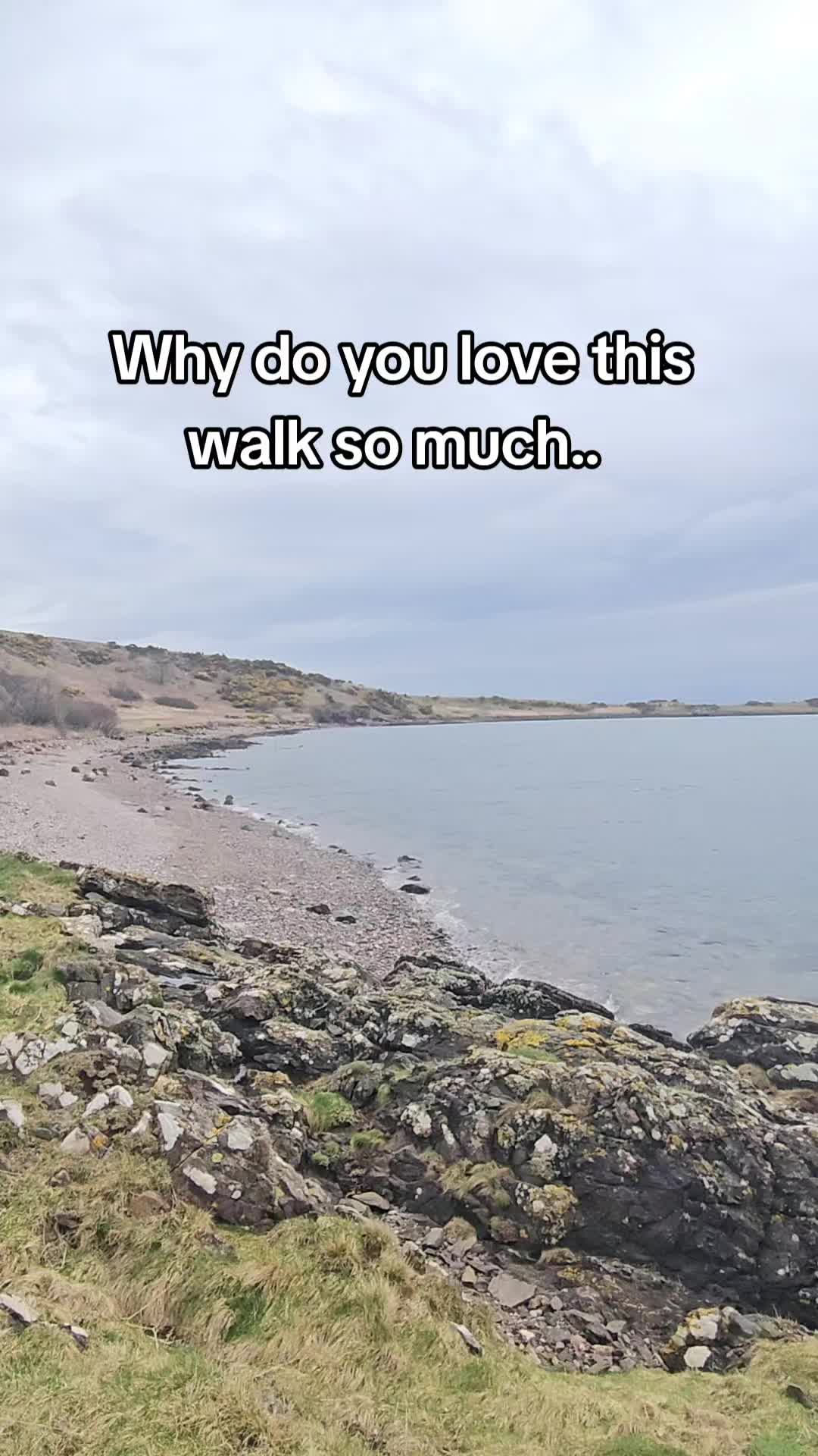 @saz