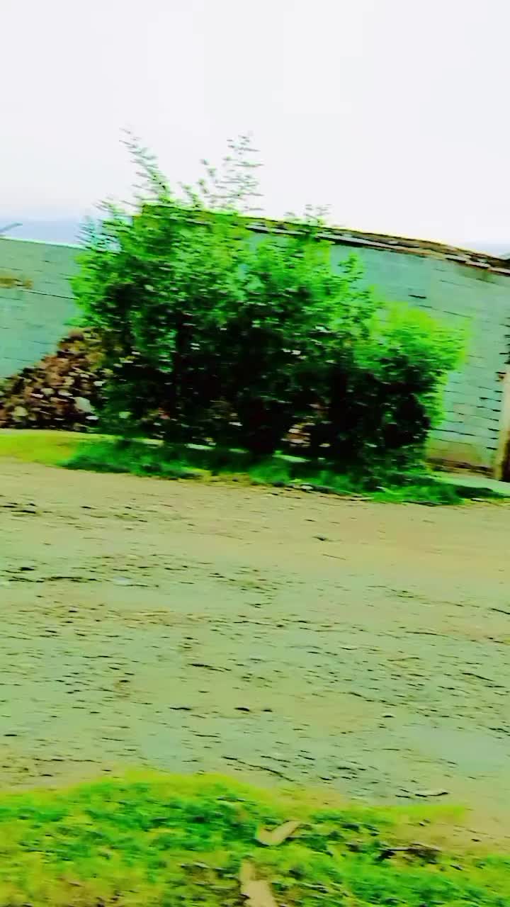 @Rohail 888