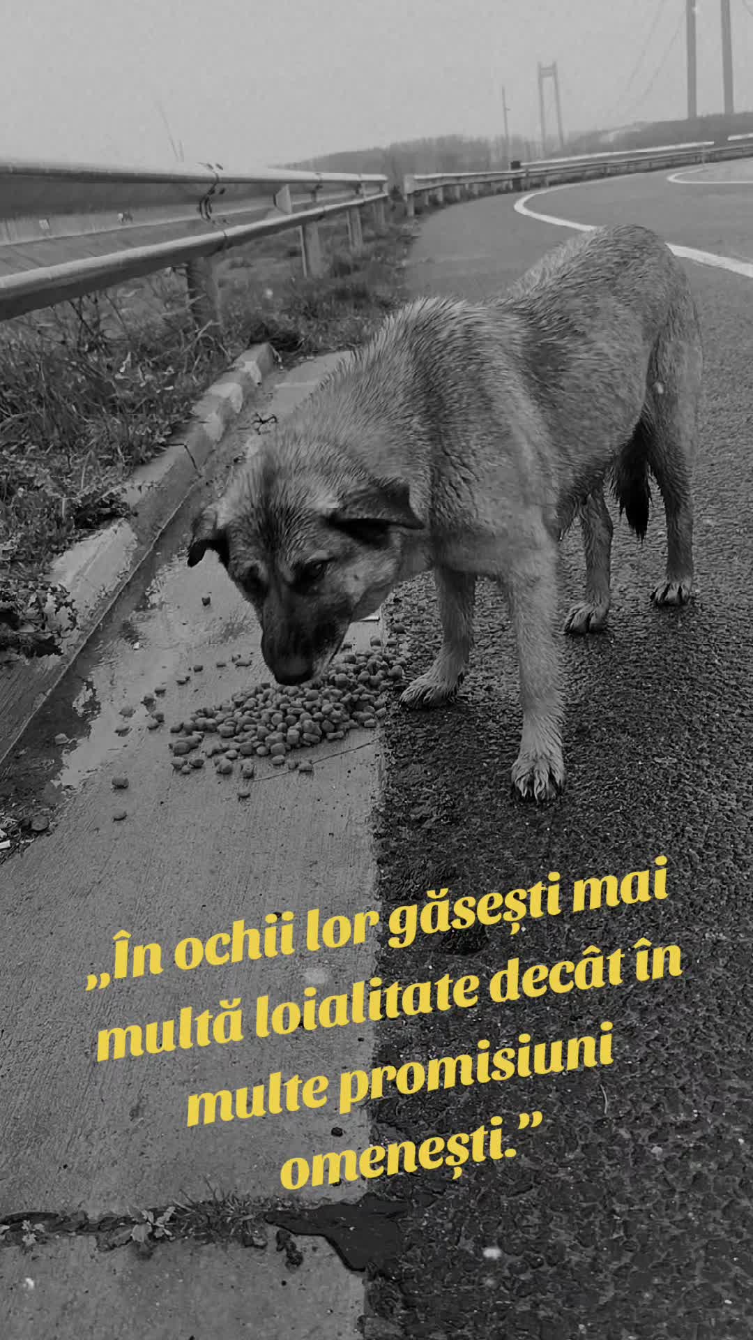 @🖤Cristyna 🖤