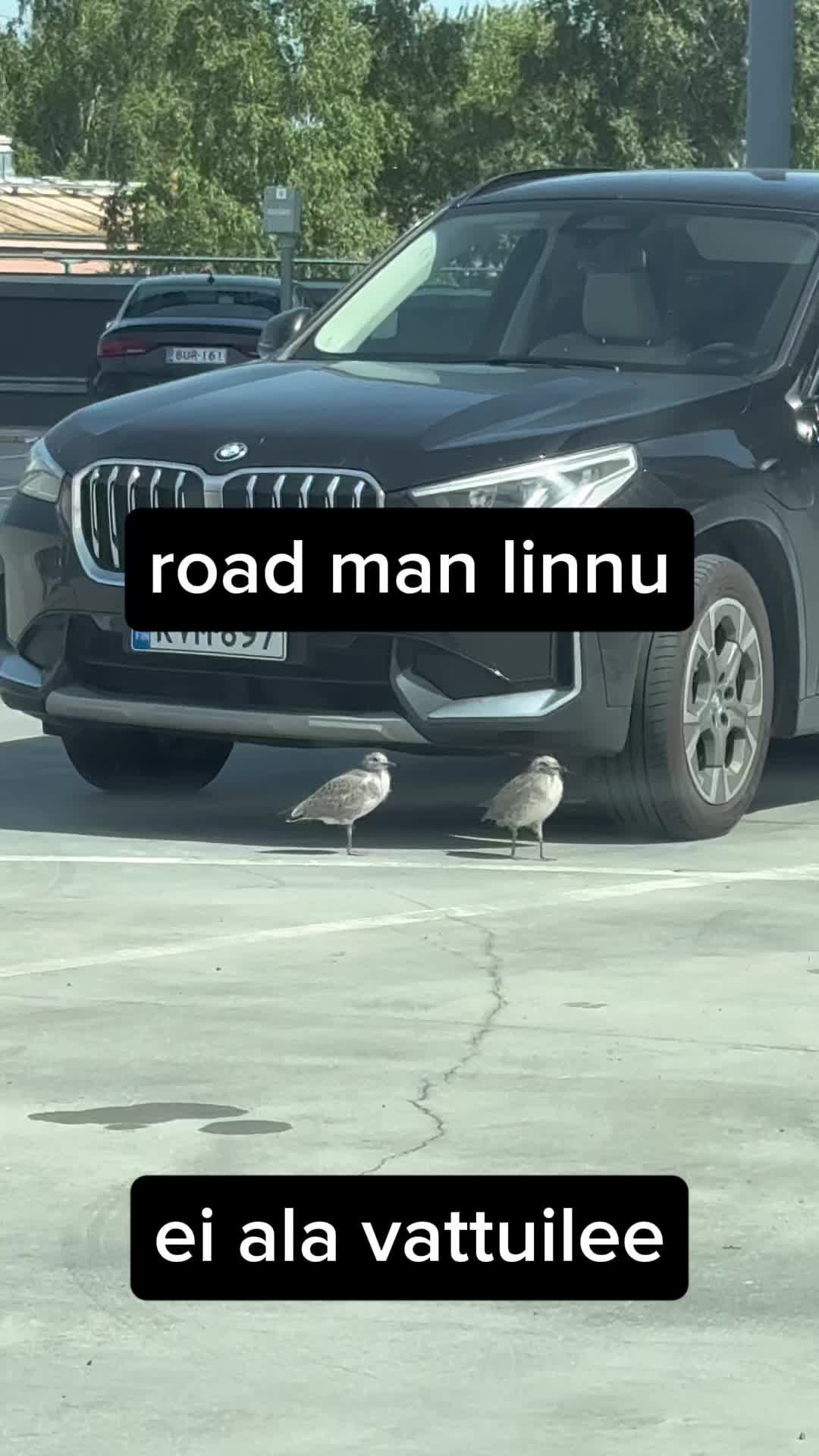 @sjalaatti