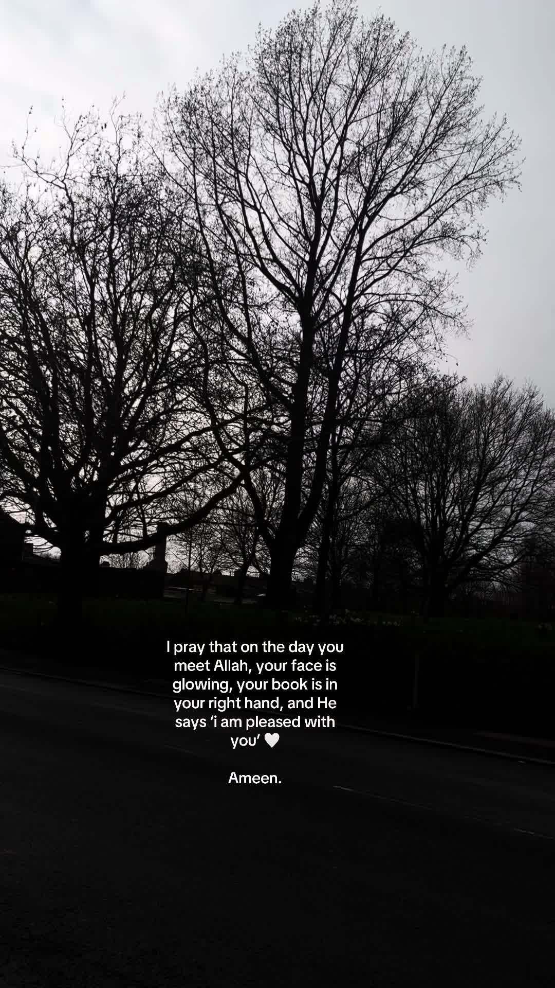 @No Doubt🕊️