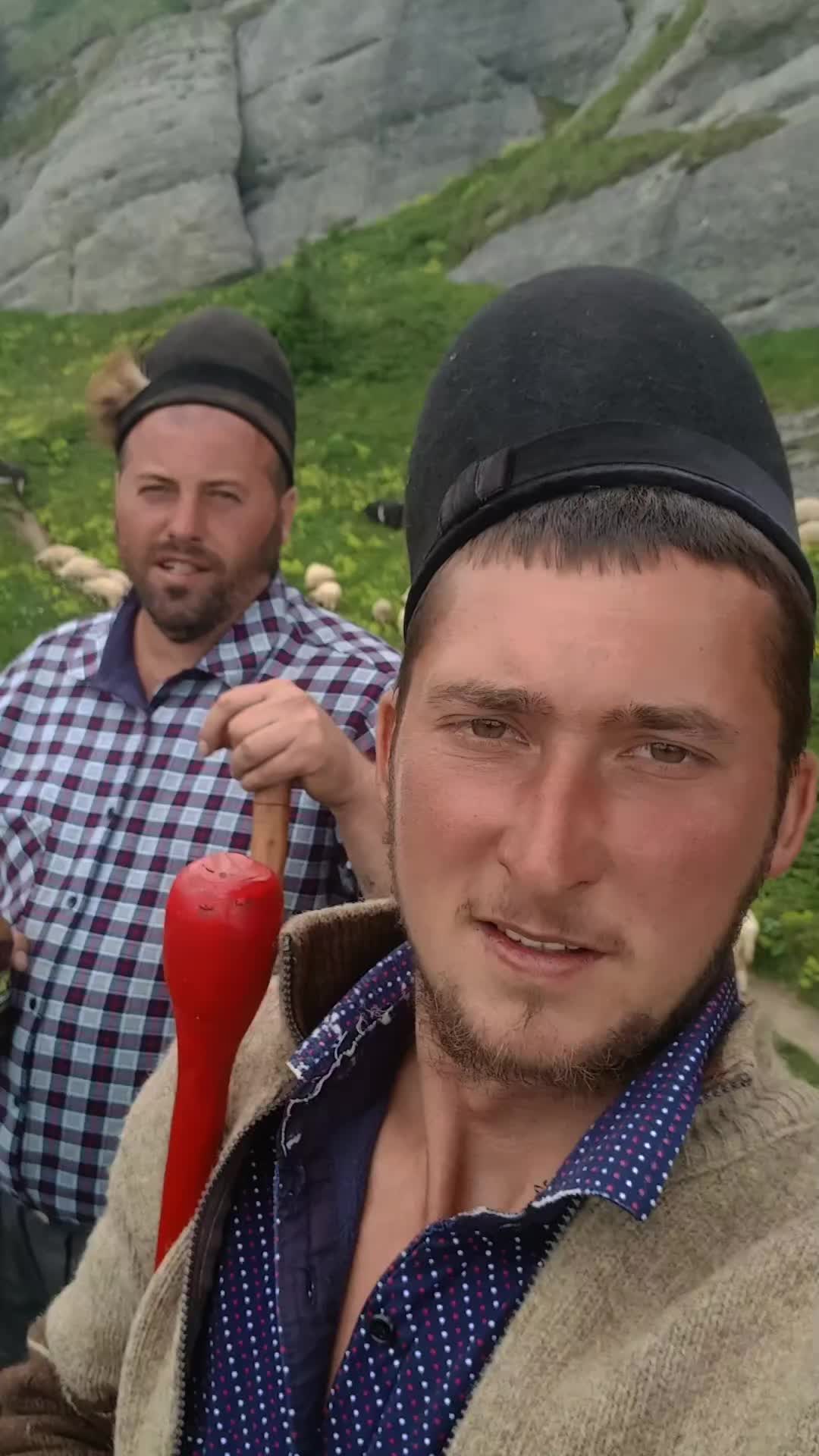 @Jidanu 🌲🐕🐑🌲❤️