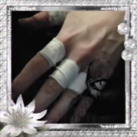 @Duaa / Modulo Yuji’s wife!⋆˚꩜。