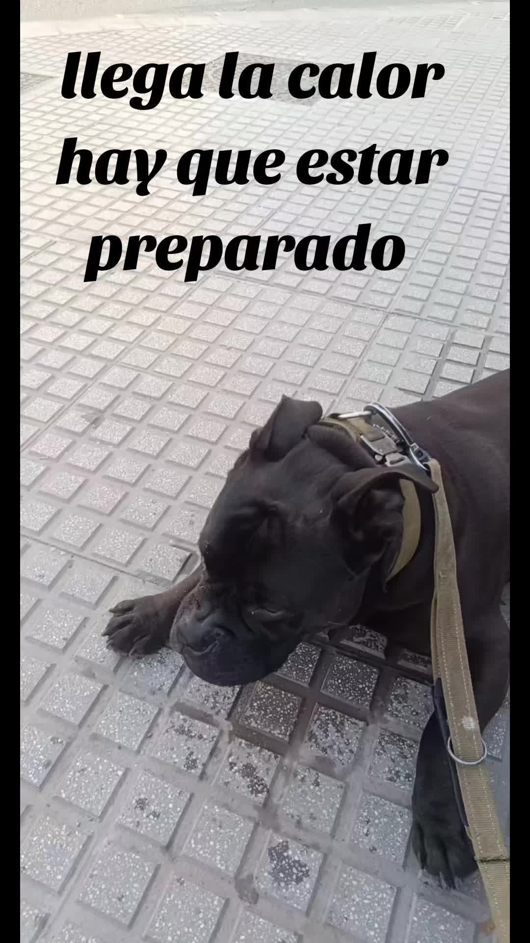 @Jose Manuel Hernande